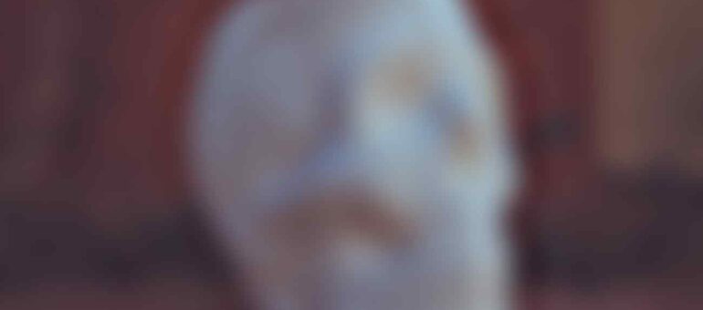 masterstudy_placeholder