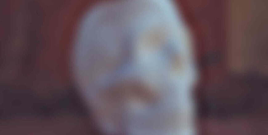 neonbrand-560705-unsplash